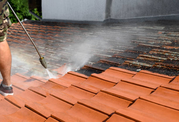 Best Residential Pressure Washing Services  in Wise, VA